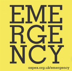 http://www.helenannaflanagan.com/files/gimgs/th-124_emergency1.png